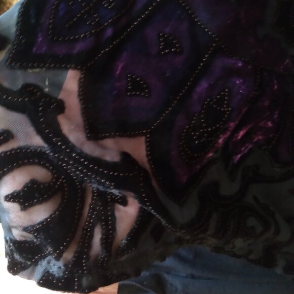 Vintage Style & Co Black 3/4 Sleeve Sheer Top with Dark Purple Velvet and Dots - Picture 3 of 6
